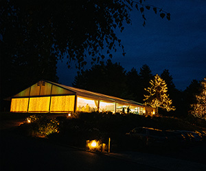 Svadba - Foto a Video