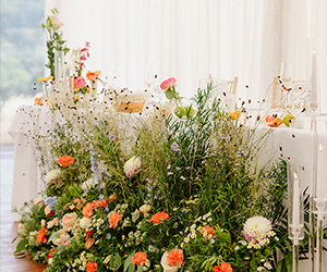 Svadba - Foto a Video