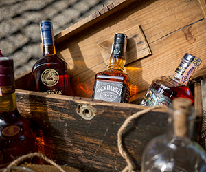 Svadba - Foto a Video