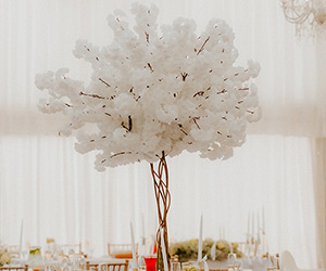 Svadba - Foto a Video