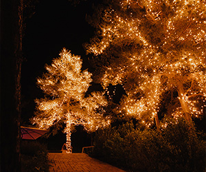 Svadba - Foto a Video